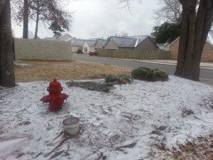 From last year's winter storm in Berkeley County.