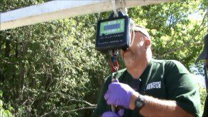 From 2014 Catfish Tournament