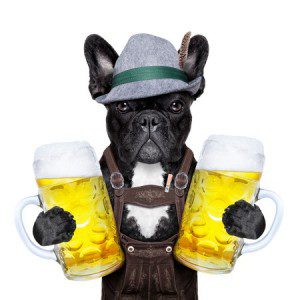 Beer, Bavaria, and Man’s Best Friend