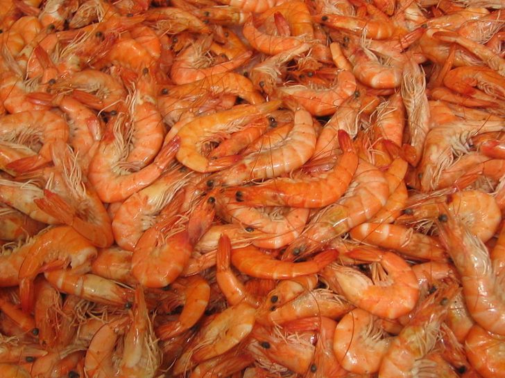 Delayed by Cold Winter, Shrimp Season Finally Opens