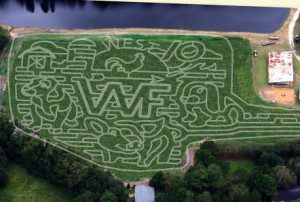 Pictured: Aerial shot of West Farm corn maze