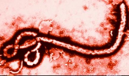 Mark Sanford discusses the Ebola crisis causing panic across the globe