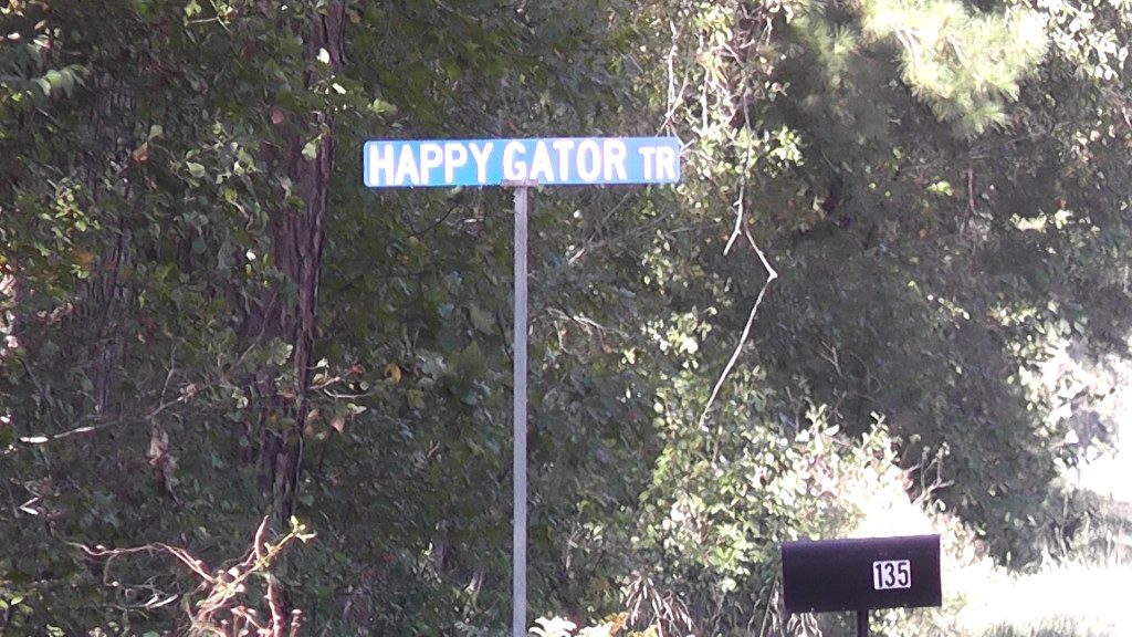 happy gator