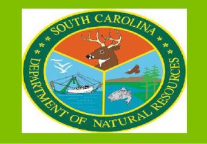 Via South Carolina Department of Natural Resources/Facebook