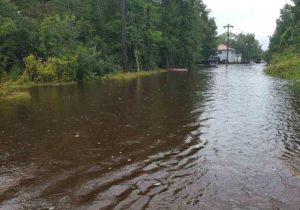 French Quarter Creek in Huger