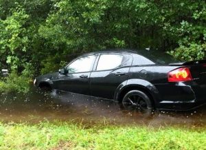 Via Lisa Cales-Mills