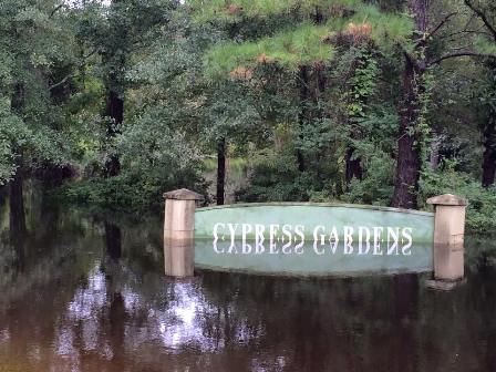 Berkeley County Officials We Are Committed To Rebuilding Cypress