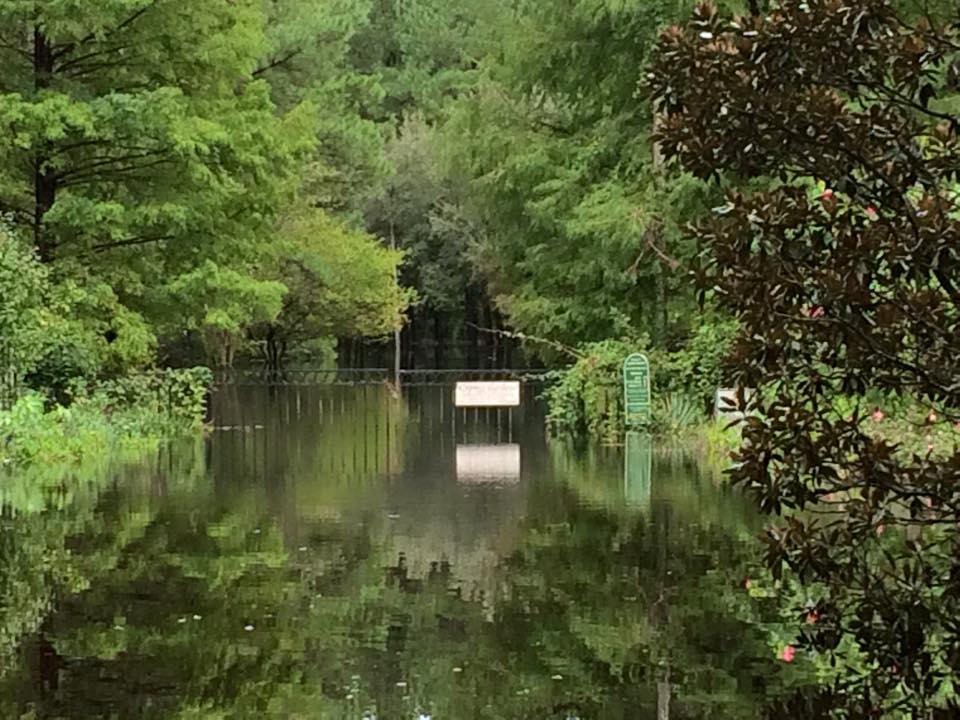 Flood Damage To Cypress Gardens Estimated To Be Around 10 Million