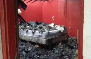 Via Alex McAslan/Twitter