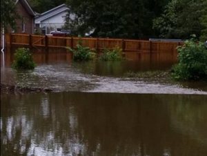Yard in Whitesville Road in Moncks Corner