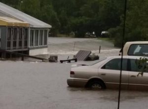 The marina in Pimplico (Via Cody Gooch)