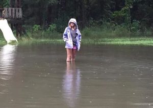 Flooding in Jamestown (Via Lisa Cales-Mills)
