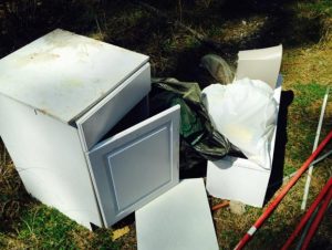 Pictured: Items dumped in the Francis Marion National Forest recently (Via Karina Bolster/Twitter)