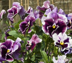 Via Chris_Parfitt/Flickr