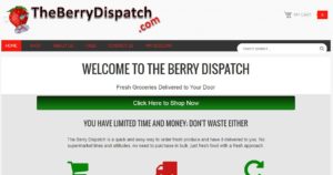 Image taken from The Berry Dispatch's website