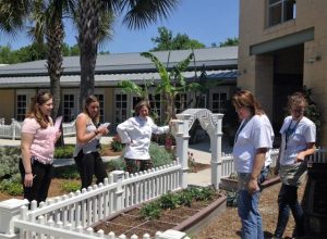 daniel island academy2