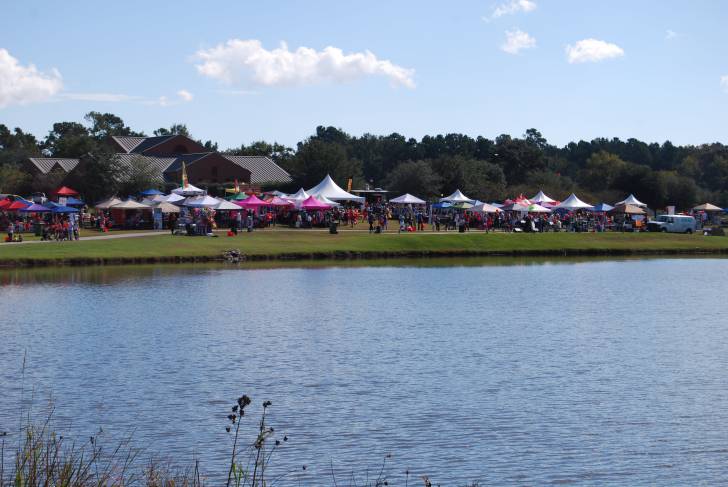 The Goose Creek Fall Festival drew a large crowd and a wide array of vendors in 2015.