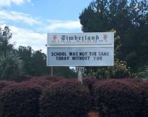 timberland high senior