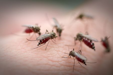 The mosquito abatement will take place July 8th.