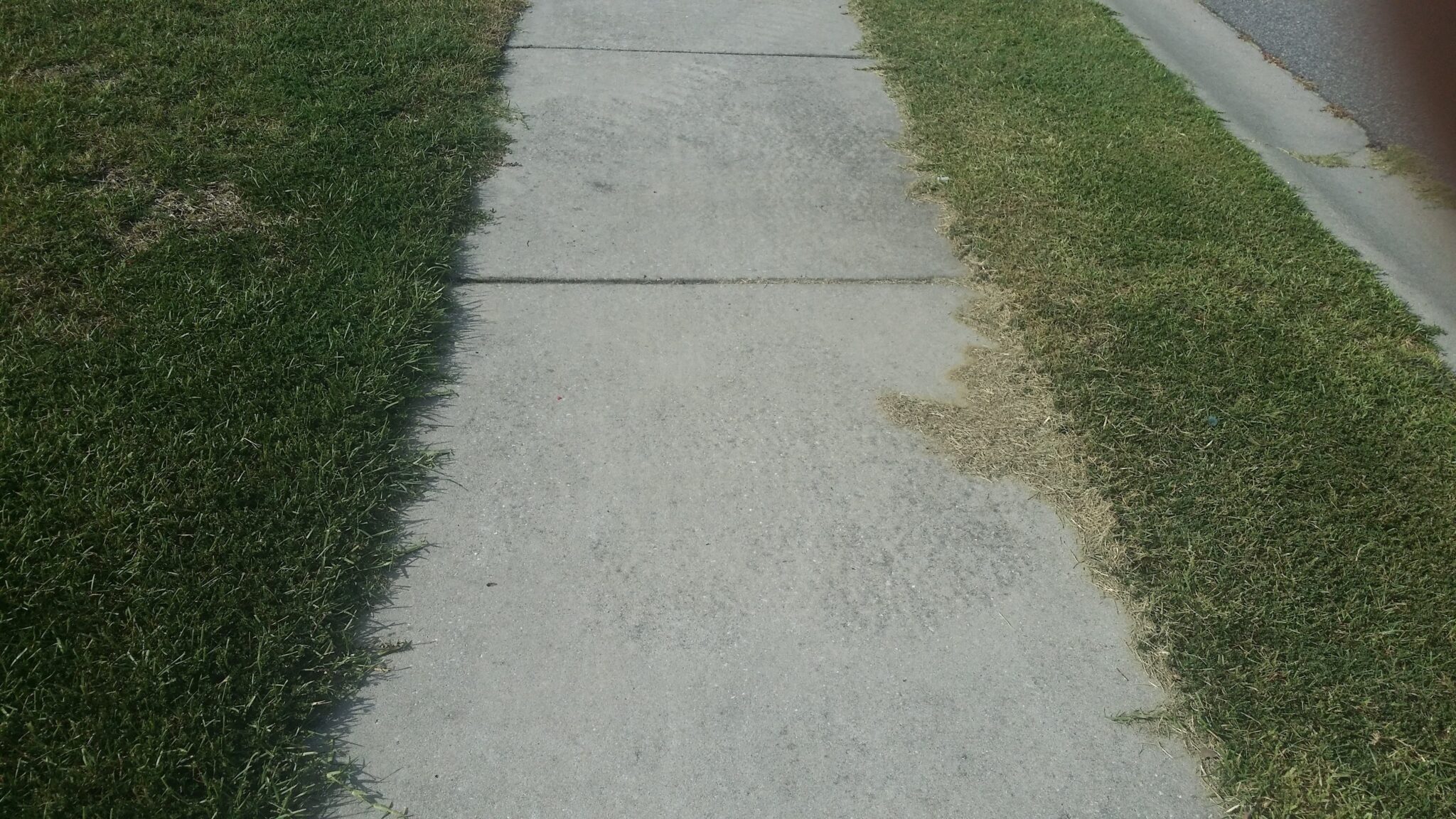 Sidewalk located in a nearby Goose Creek subdivision.