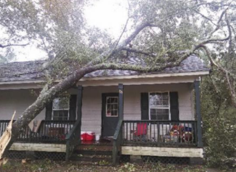 Pictured: Tree falls on home in Macedonia (Via Deanna Renee Yates) 