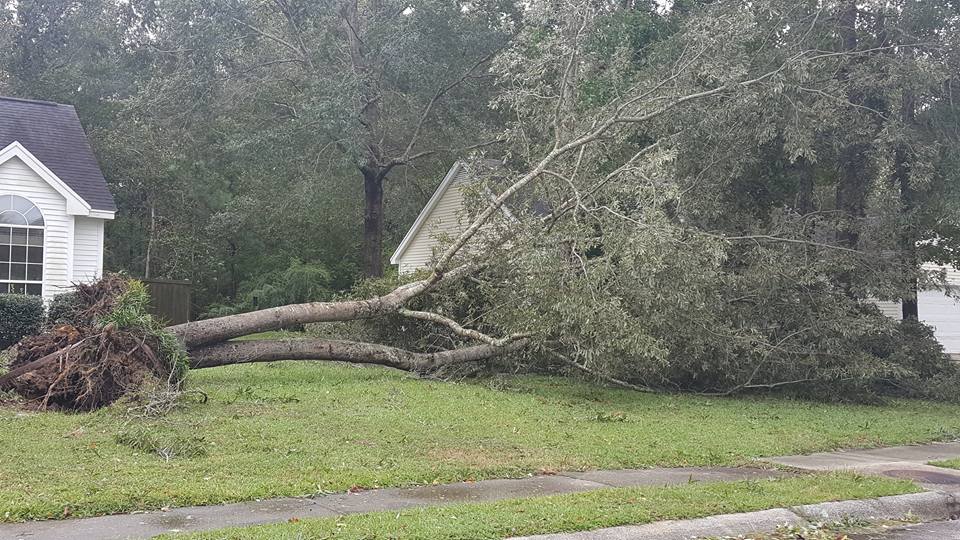 Pictured: Down tree in homeowner's yard in Goose Creek (Via Nikki Gaskins)
