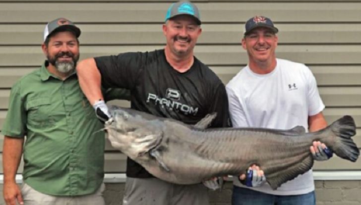 Cypress Gardens Now Home To Nearly 80 Pound Catfish
