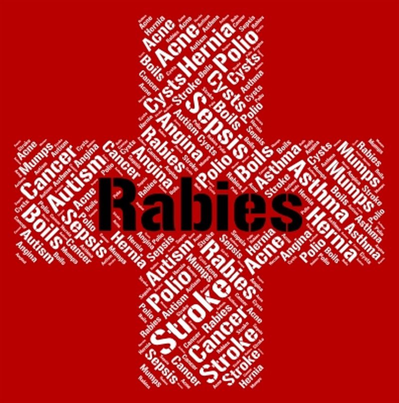 7 People, 1 Dog Exposed To Rabies In Berkeley County