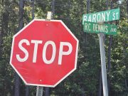 Developer Wants to Drop 150 New Homes in Moncks Corner