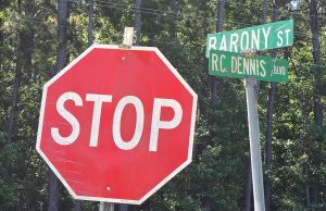 Developer Wants to Drop 150 New Homes in Moncks Corner