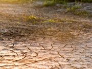 May Showers Ease Drought Conditions for Berkeley County