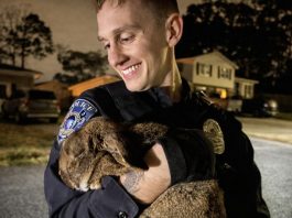 Hanahan Police Nab High‑Speed Hopper After Brief but ‘Chaotic’ Pursuit