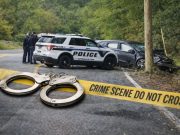 Woman Arrested in Clements Ferry Road Shooting That First Appeared as Crash