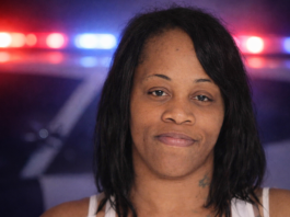 Moncks Corner Woman Stole License Plate from Unmarked Patrol Vehicle: BCSO