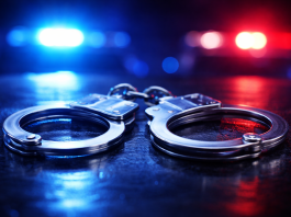 St. Stephen Man Charged With Vehicle Fraud: SLED