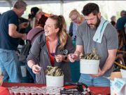 Shuckin’ in the Park Oyster Roast Returns to Moncks Corner March 14